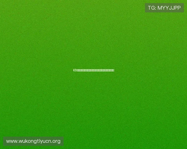 K8视讯主页登录安全技巧，保障您的资金与个人信息安全