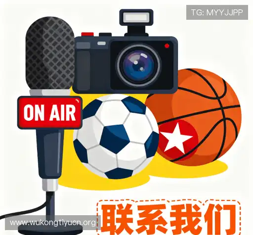 接洽悟空体育在线